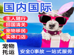 合肥空运代理国际宠物托运 【国